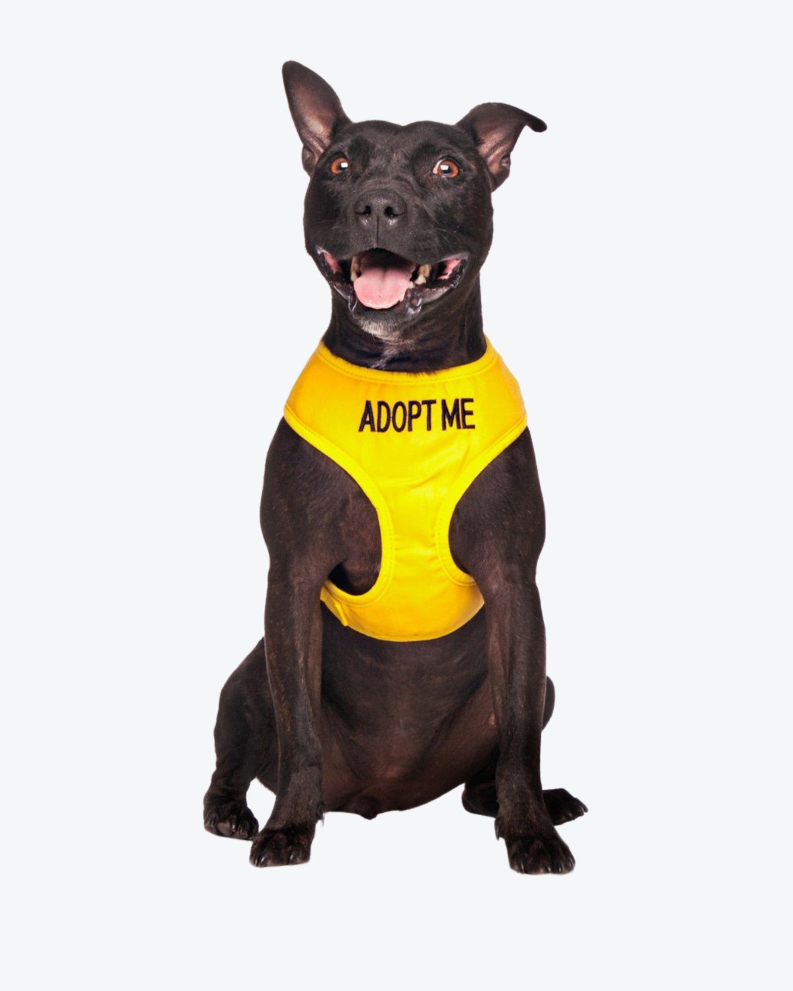 DogLine Adopt Me Step-In Dog Harness, Soft Mesh, No Pull, Reflective, S/M/L, Patch