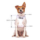 BLIND DOG - Small adjustable Vest Harness