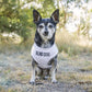 Dexil Friendly Dog Collars BLIND DOG Small Vest Harness