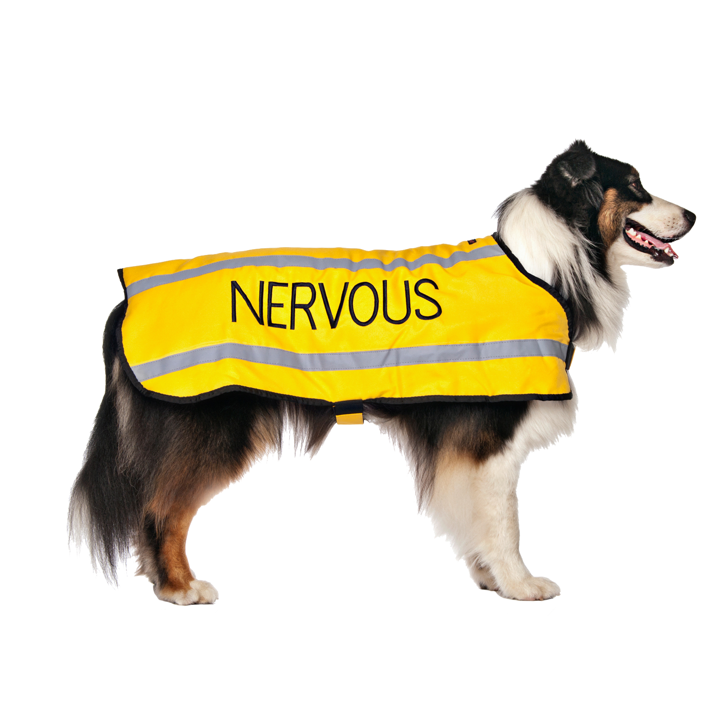 Dexil Friendly Dog Collars Yellow NERVOUS L/XL Reflective Dog Coat