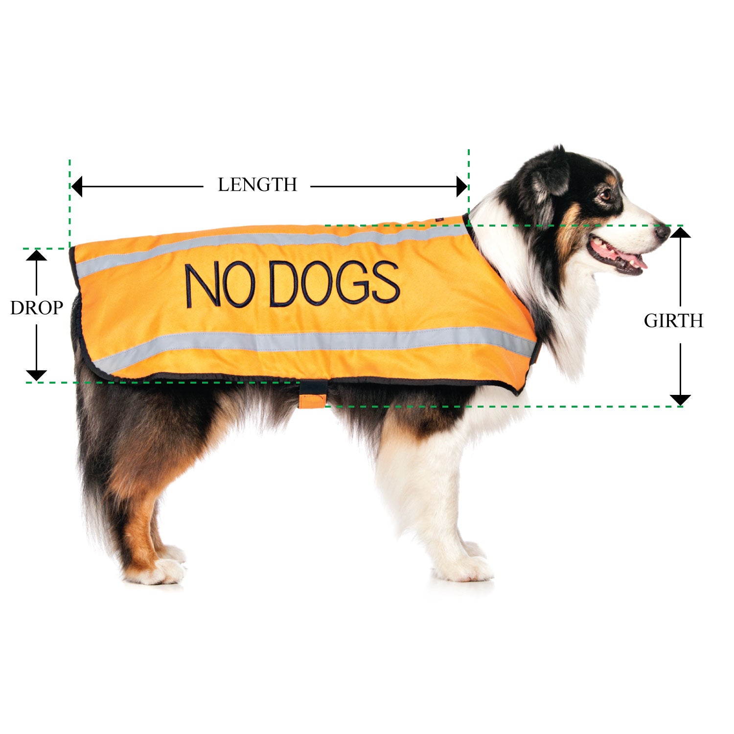 NO DOGS - Large Coat