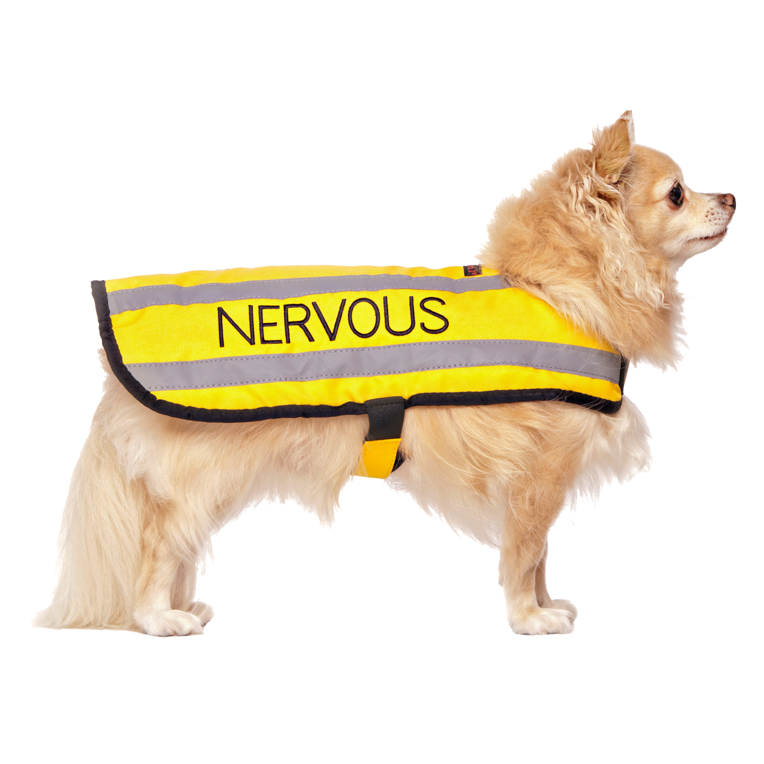 Dexil Friendly Dog Collars yellow NERVOUS Small Reflective Coat 