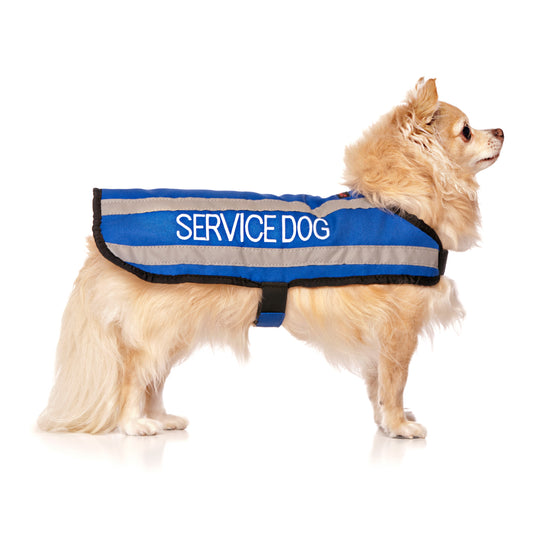 Dexil Friendly Dog Collars SERVICE DOG Small Reflective Coat