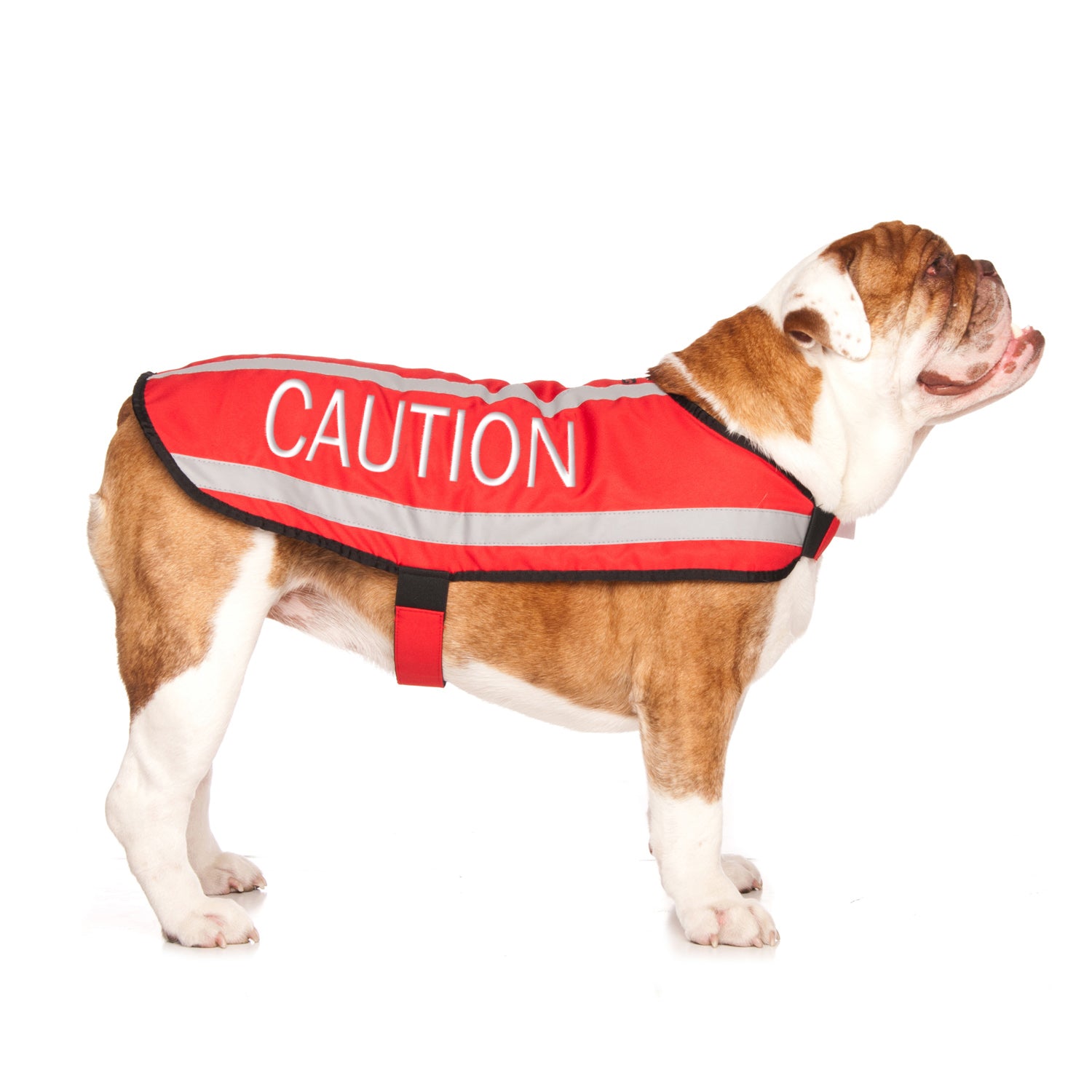 Dexil Friendly Dog Collars Red CAUTION L/XL M/L Reflective Dog Coat