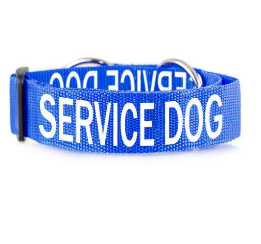 Dexil Friendly Dog Collars SERVICE DOG L/XXL Semi Slip Collar