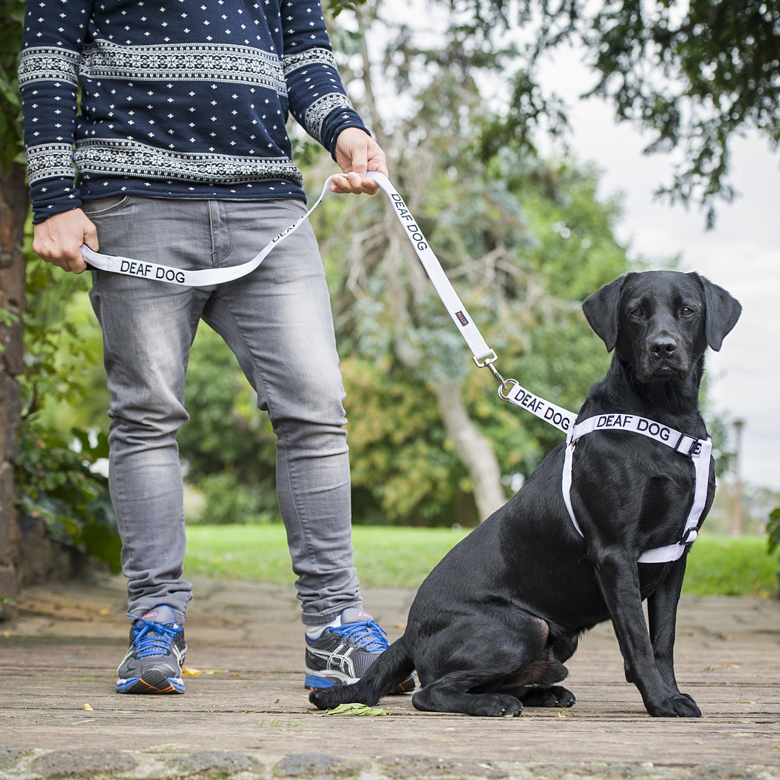 Dexil Friendly Dog Collars DEAF DOG Standard 120cm (4ft) Lead