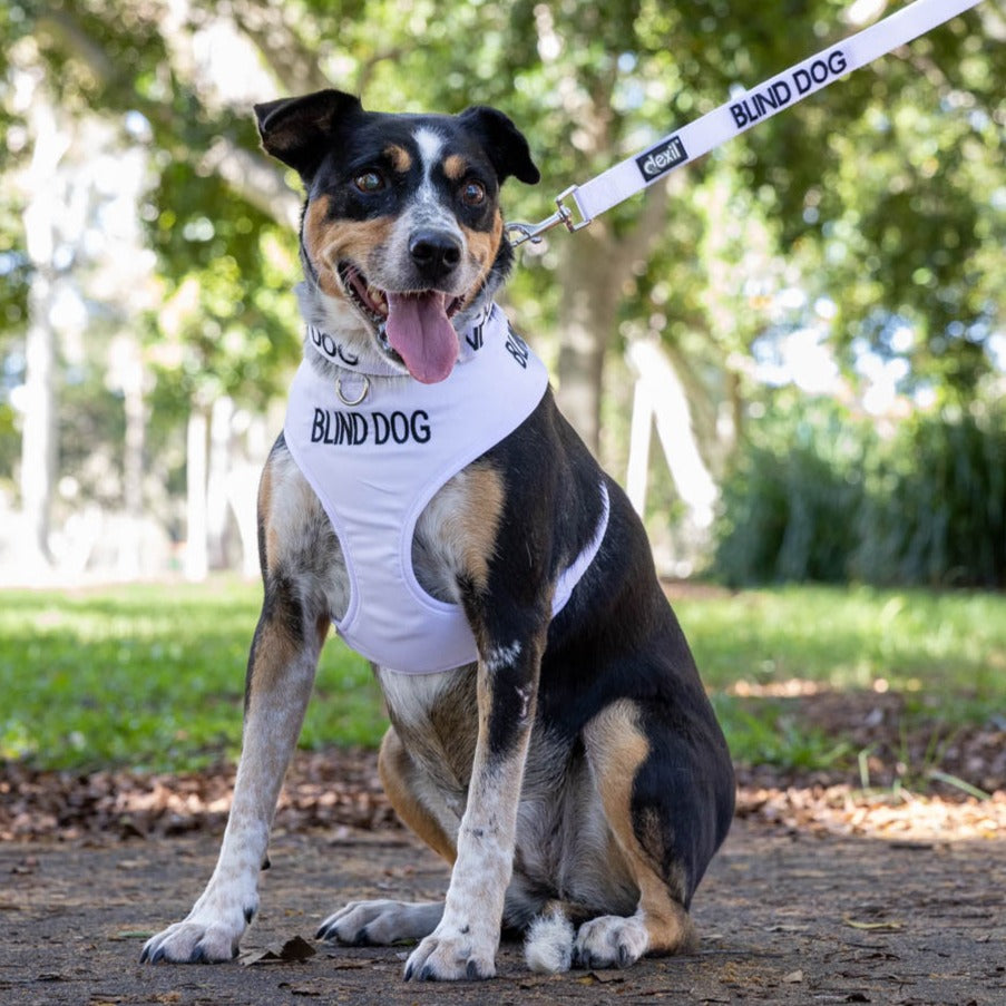 Dexil Friendly Dog Collars BLIND DOG Large Vest Harness