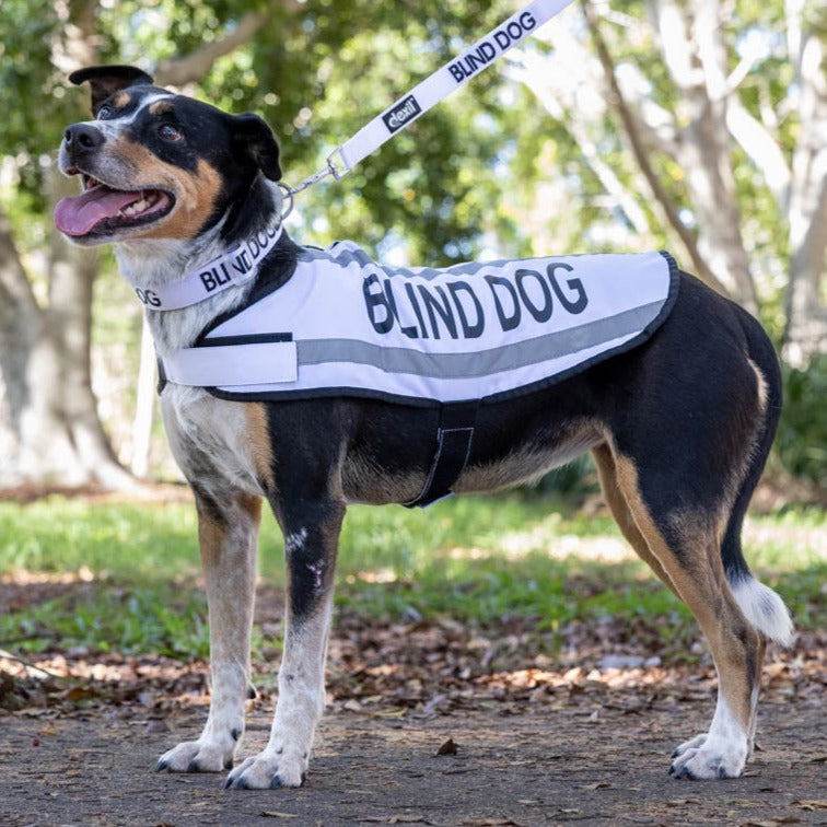 Dexil Friendly Dog Collars BLIND DOG Medium Reflective Dog Coat