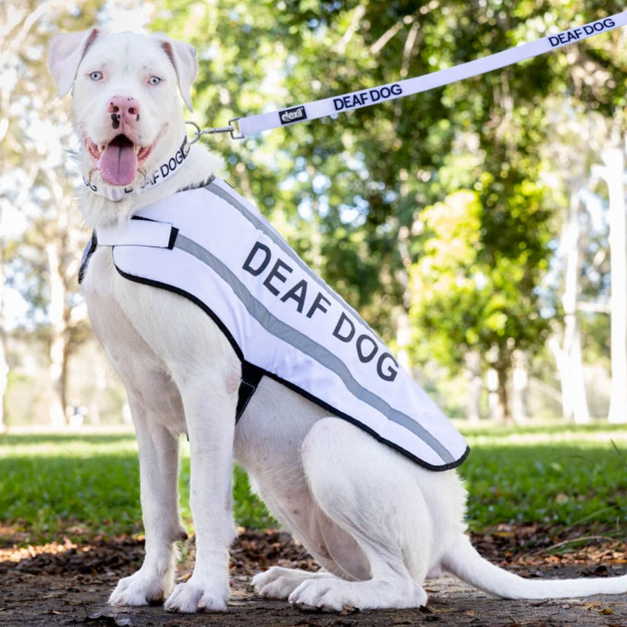 Dexil Friendly Dog Collars DEAF DOG Large Reflective Coat