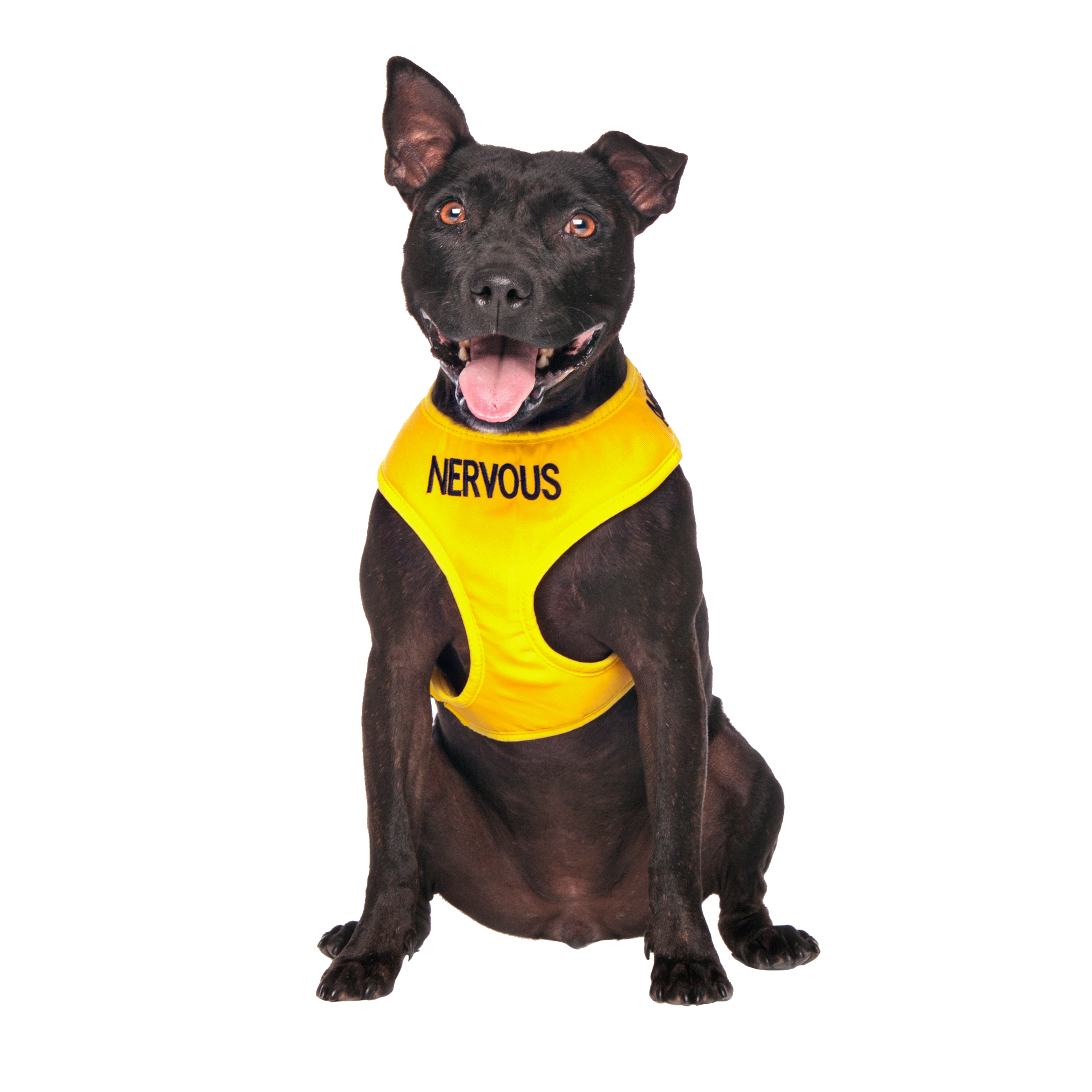 Dexil Friendly Dog Collars Yellow NERVOUS Medium adjustable Vest Harness