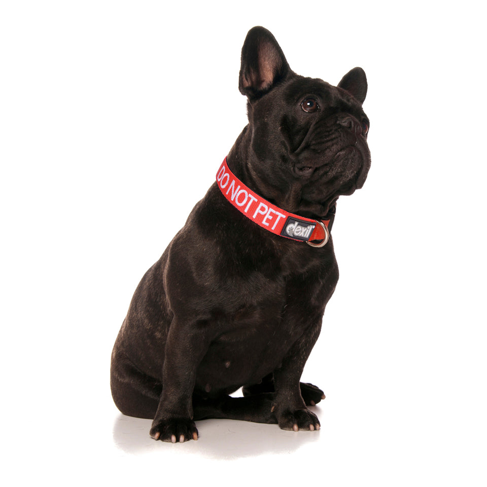 Dexil Friendly Dog Collars DO NOT PET S/M Clip Collar