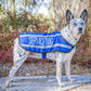 Dexil Friendly Dog Collars SERVICE DOG Medium Reflective Coat