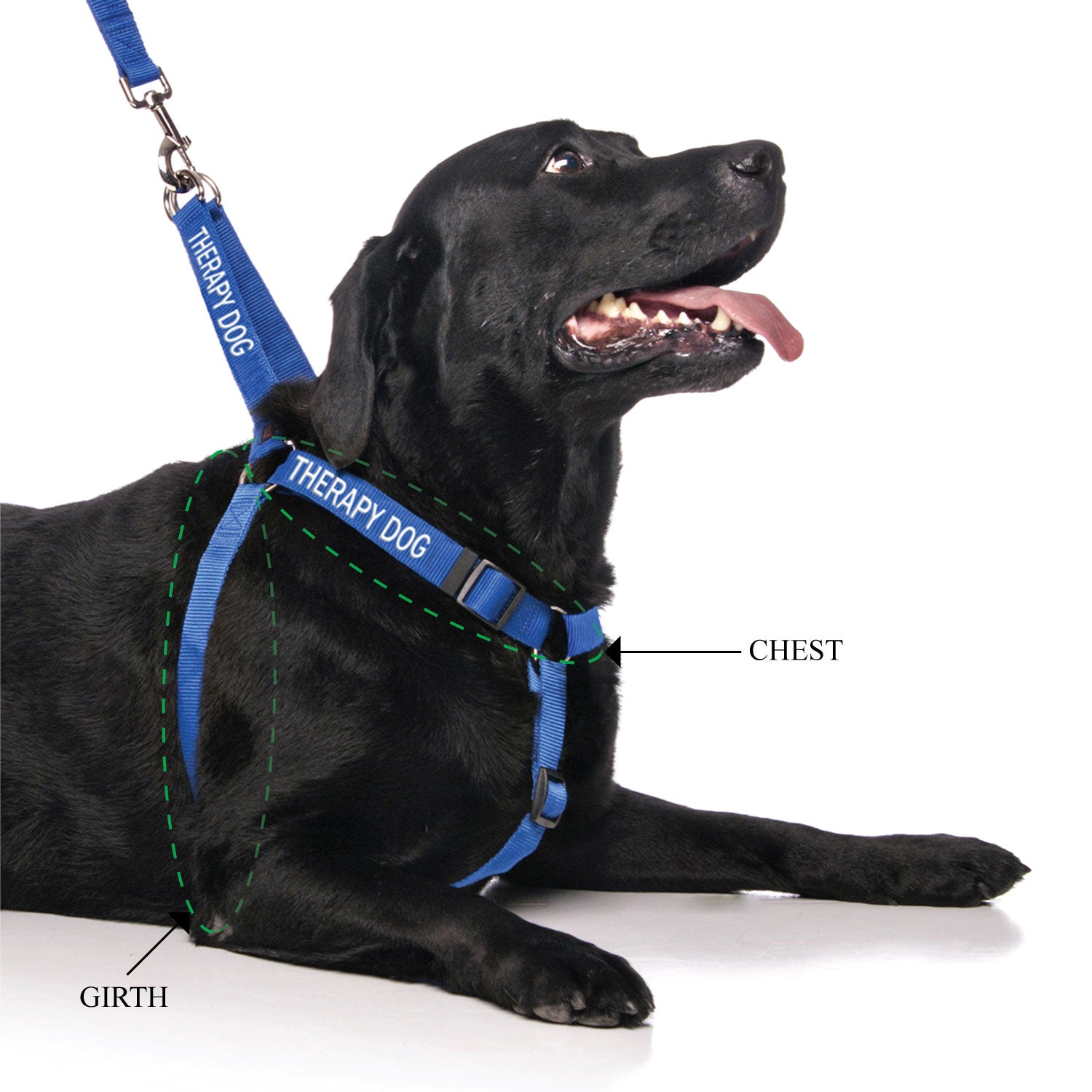 Friendly Dog Collars THERAPY DOG adjustable L/XL Strap Harness