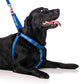 Friendly Dog Collars THERAPY DOG adjustable L/XL Strap Harness