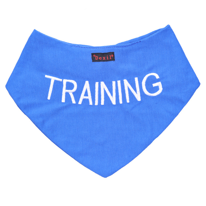 Dexil Friendly Dog Collars Blue TRAINING Dog Bandana