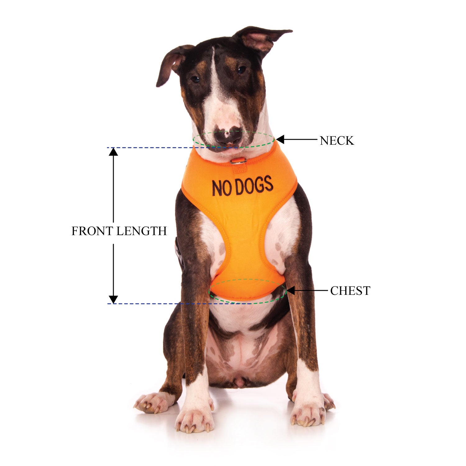 NO DOGS - Large adjustable Vest Harness