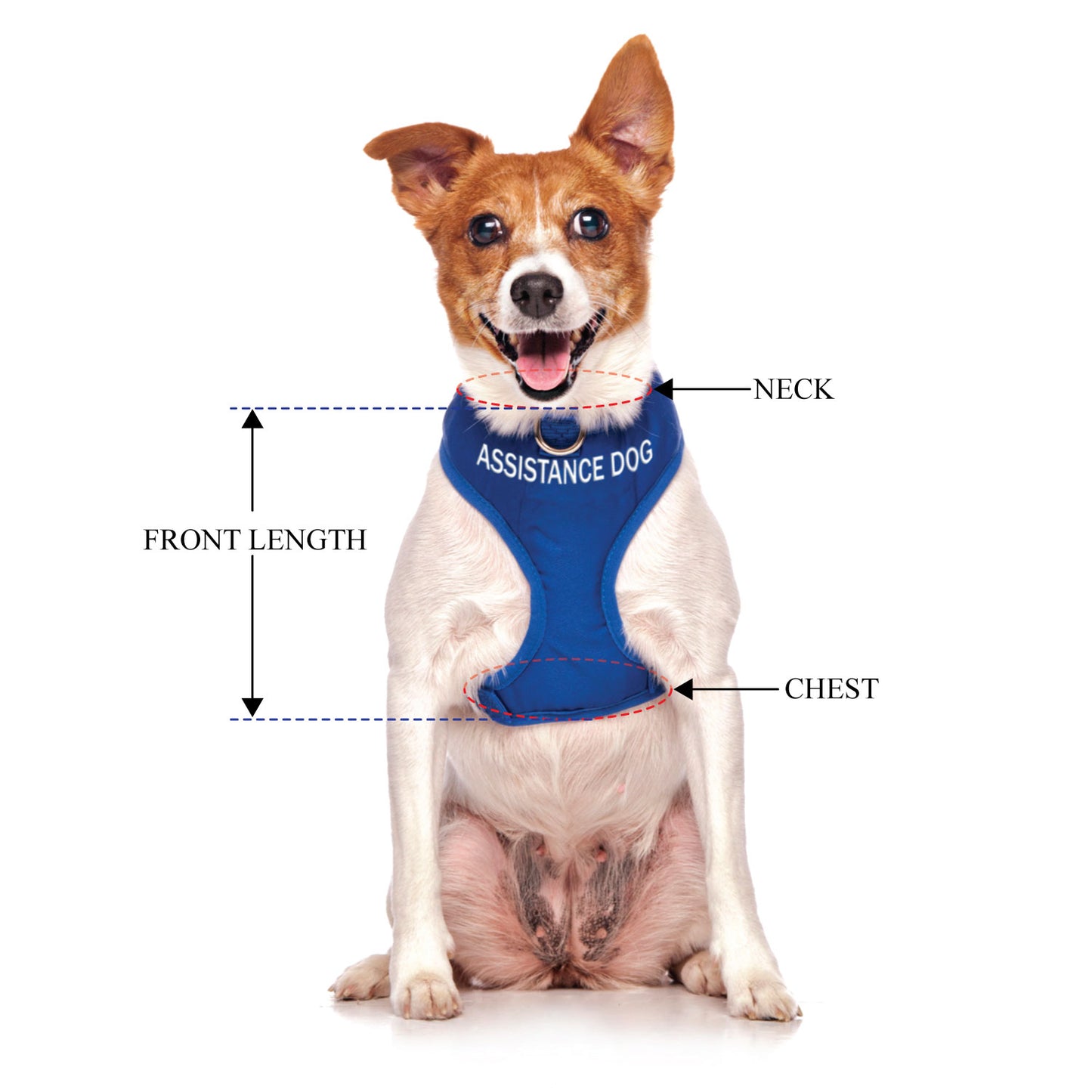 ASSISTANCE DOG - Small adjustable Vest Harness