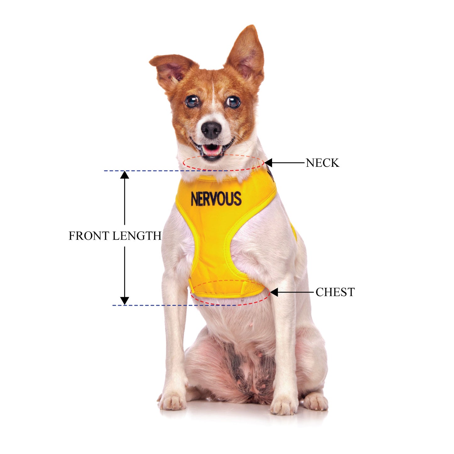NERVOUS - Small adjustable Vest Harness