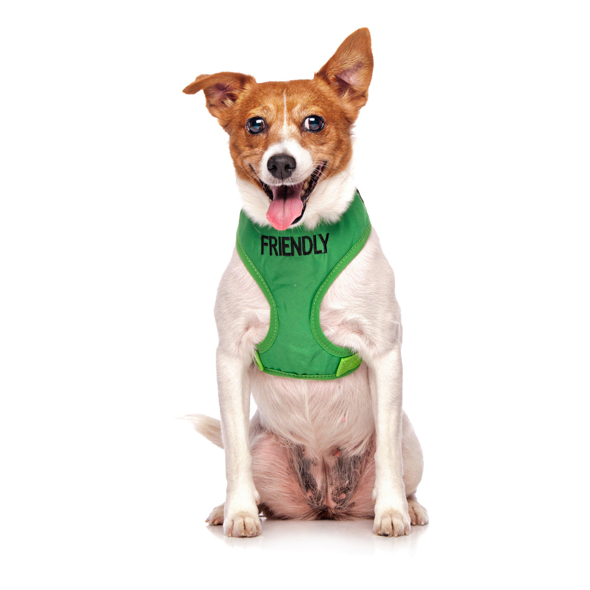 Dexil Friendly Dog Collars Green FRIENDLY Small Vest Harness