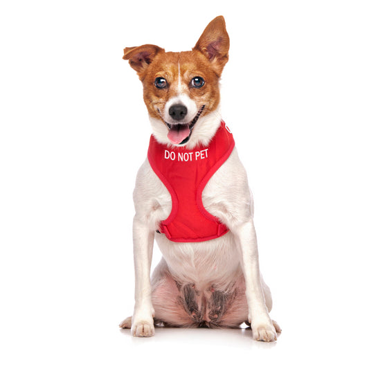 Dexil Friendly Dog Collars Red DO NOT PET Small adjustable Vest Harness
