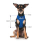 THERAPY DOG - XS adjustable Vest Harness