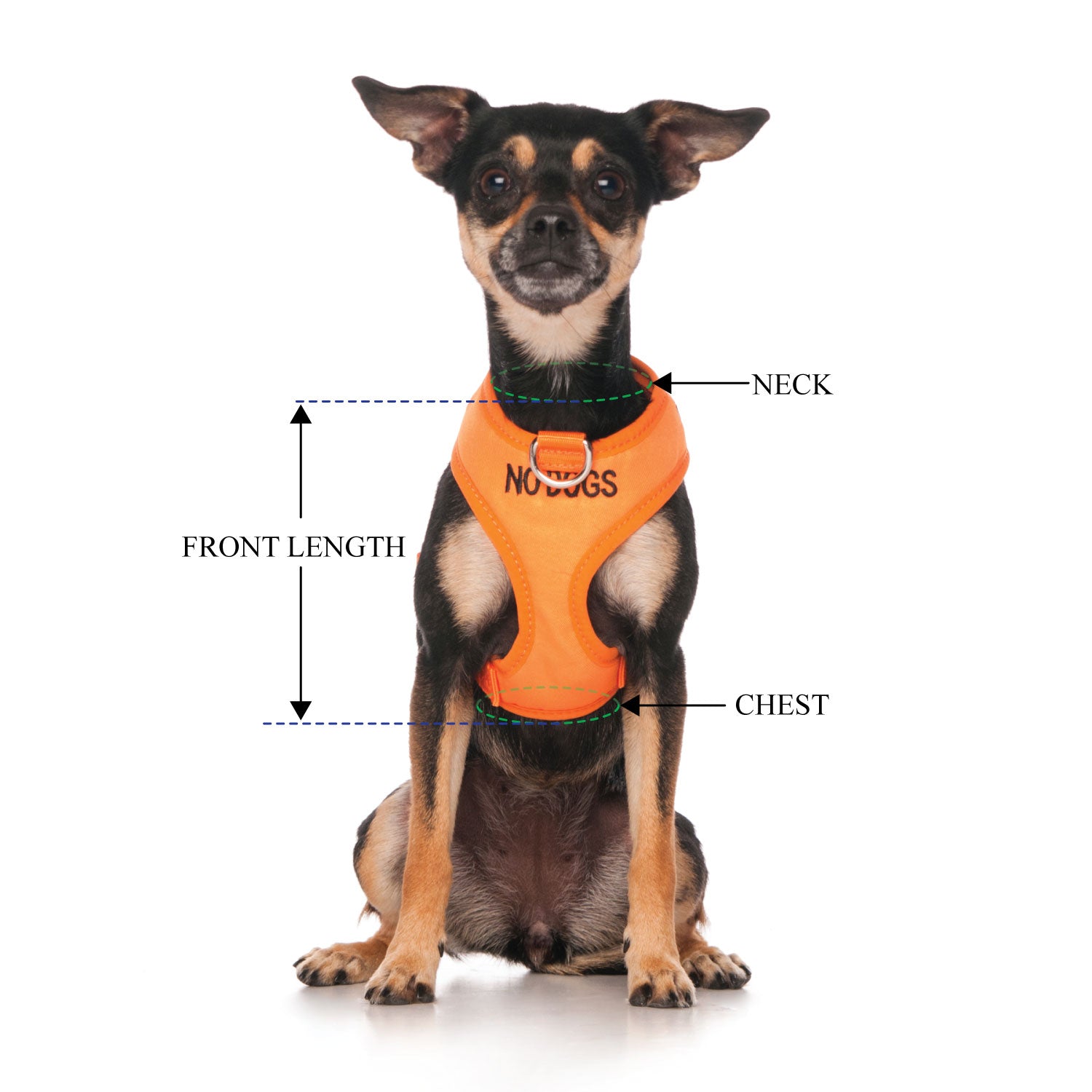 NO DOGS - XS adjustable Vest Harness