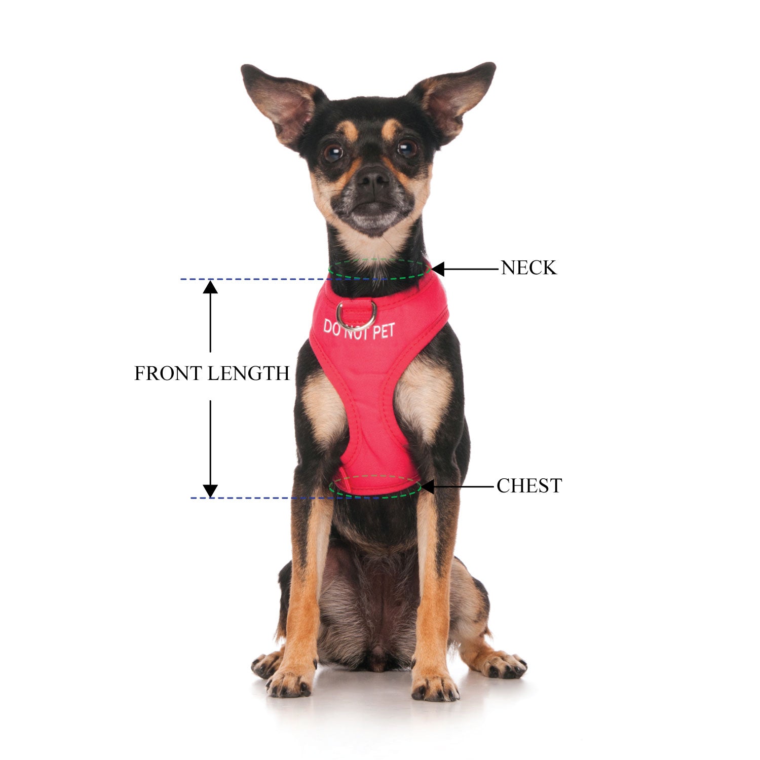 DO NOT PET - XS adjustable Vest Harness