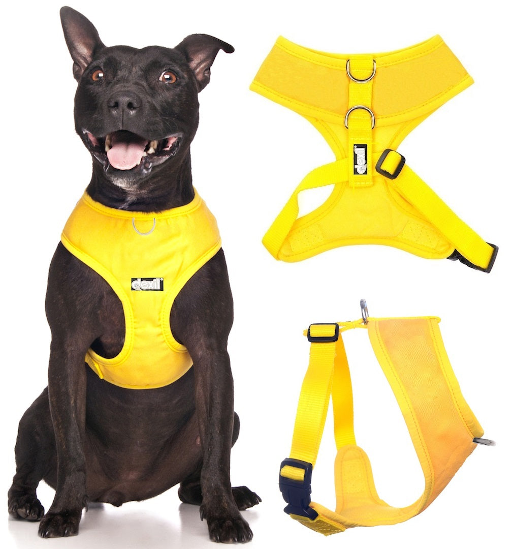 Yellow dog vest sales
