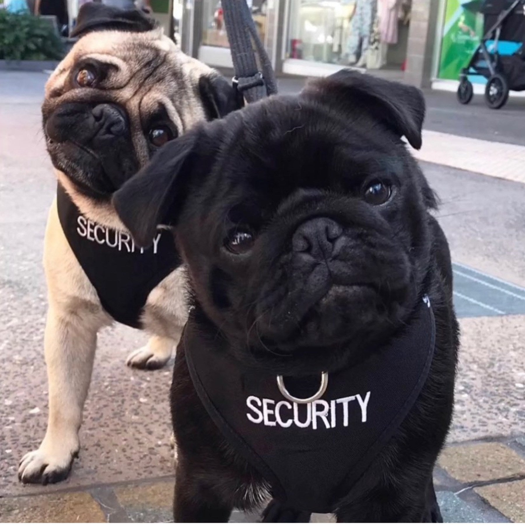 Security