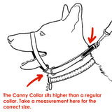 Canny Collar Size 3 - 7