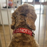 Dog Clip Collar - DO NOT PET - Red