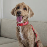 Dog Clip Collar - DO NOT PET - Red