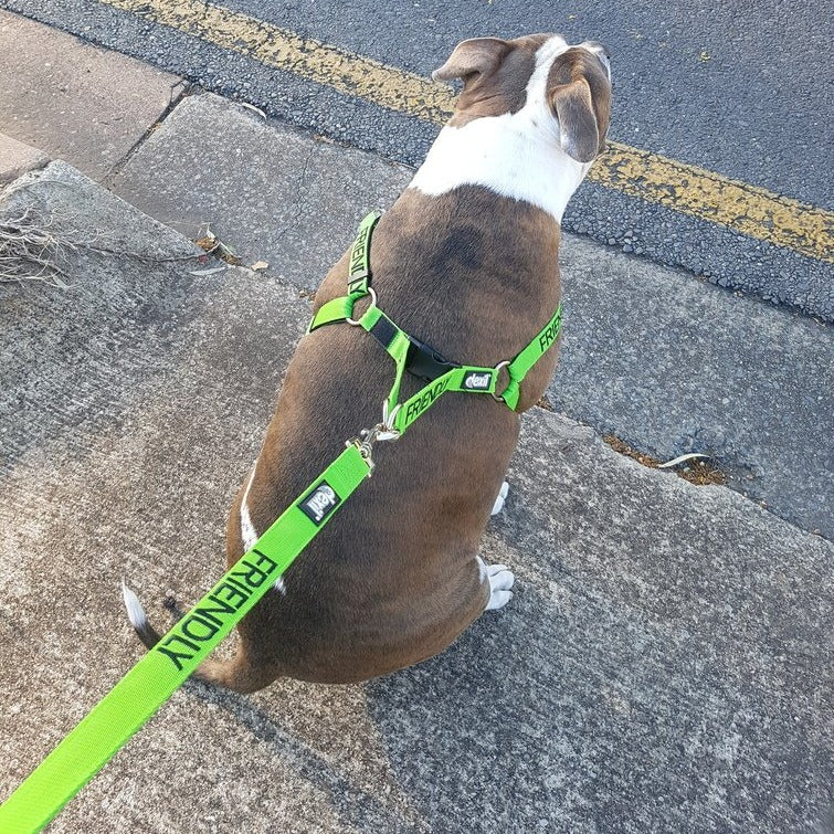 Friendly Dog Collars Green FRIENDLY Adjustable L/XL Strap Harness