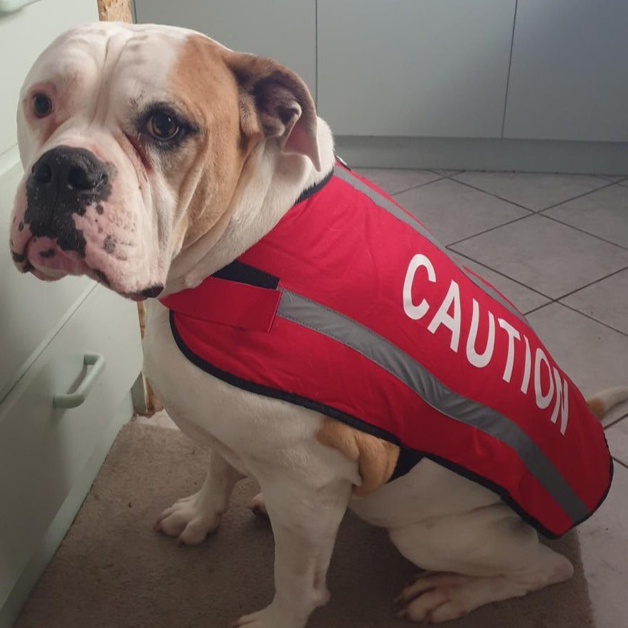 Dexil Friendly Dog Collars Red CAUTION L/XL Reflective Dog Coat
