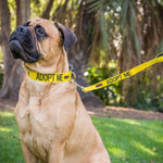Dexil Friendly Dog Collars ADOPT ME Short 60cm (2ft) Lead