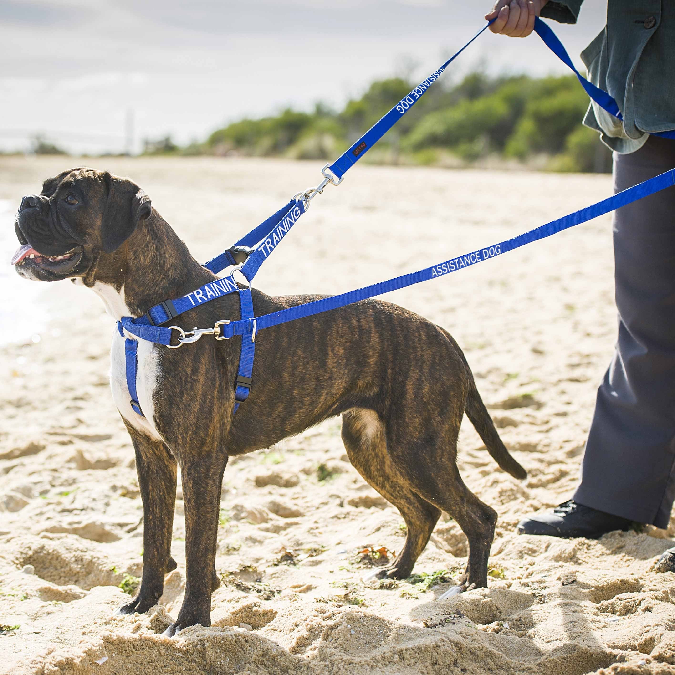 Police Style Double-Ended Dog Training Lead - 5ft Long, 20mm/25mm Soft Webbing