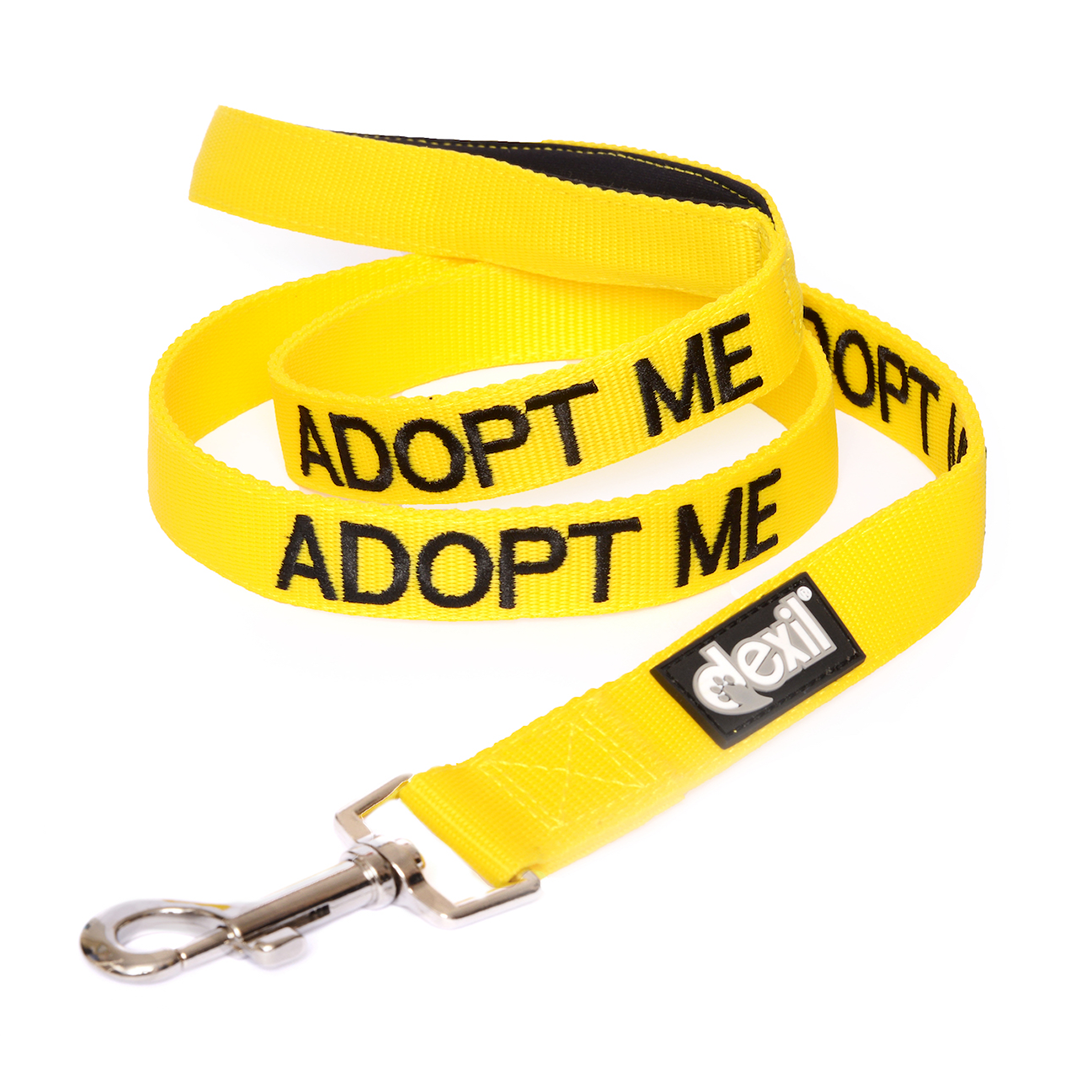 Dexil Friendly Dog Collars ADOPT ME Standard 120cm (4ft) Lead