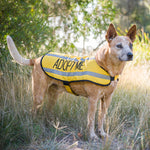 Dexil Friendly Dog Collars ADOPT ME Medium Reflective Coat