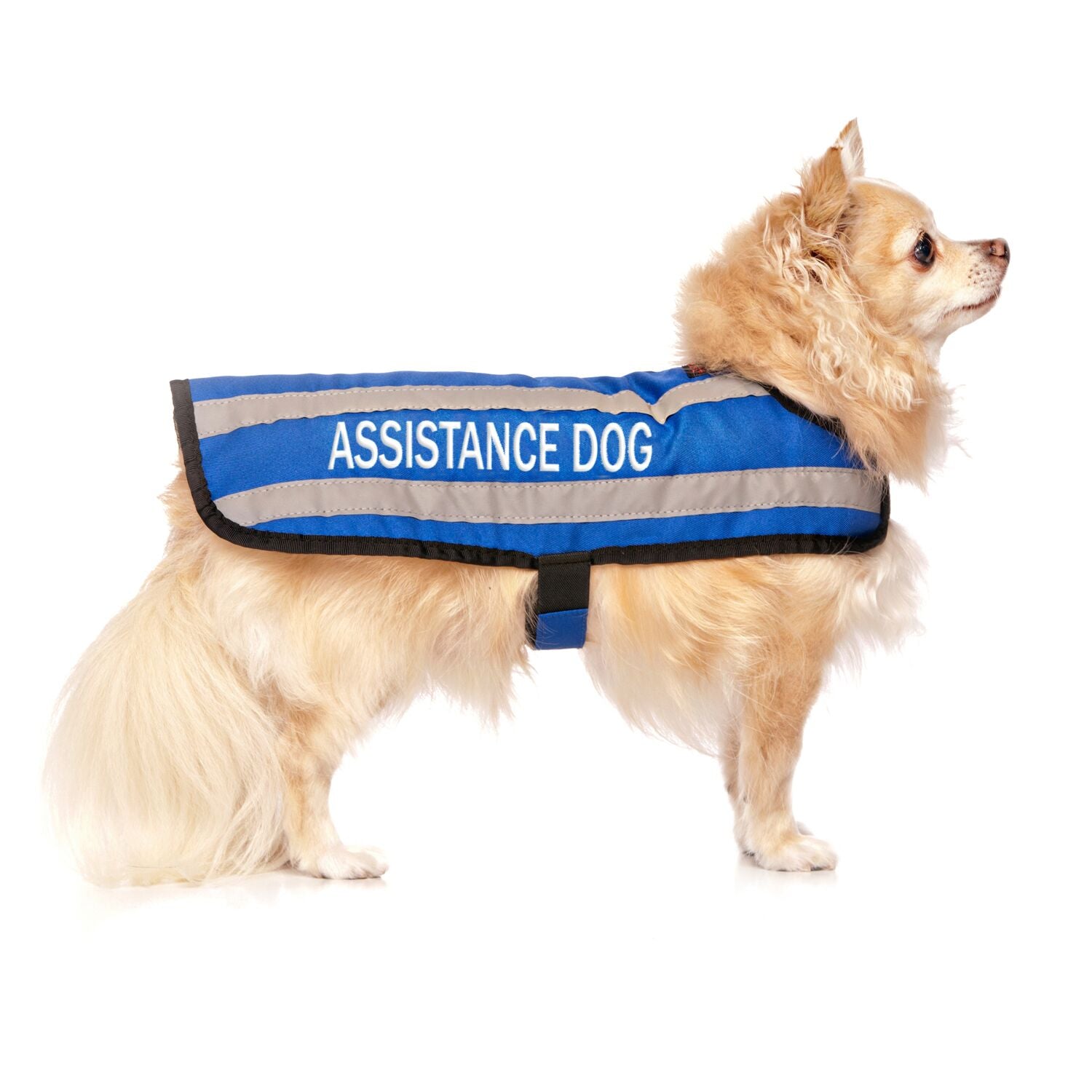 Dexil Friendly Dog Collars ASSISTANCE DOG S/M Reflective Coat