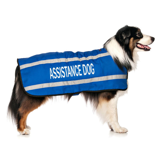 ASSISTANCE DOG - Large Coat