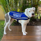 Dexil Friendly Dog Collars ASSISTANCE DOG M/L Reflective Coat