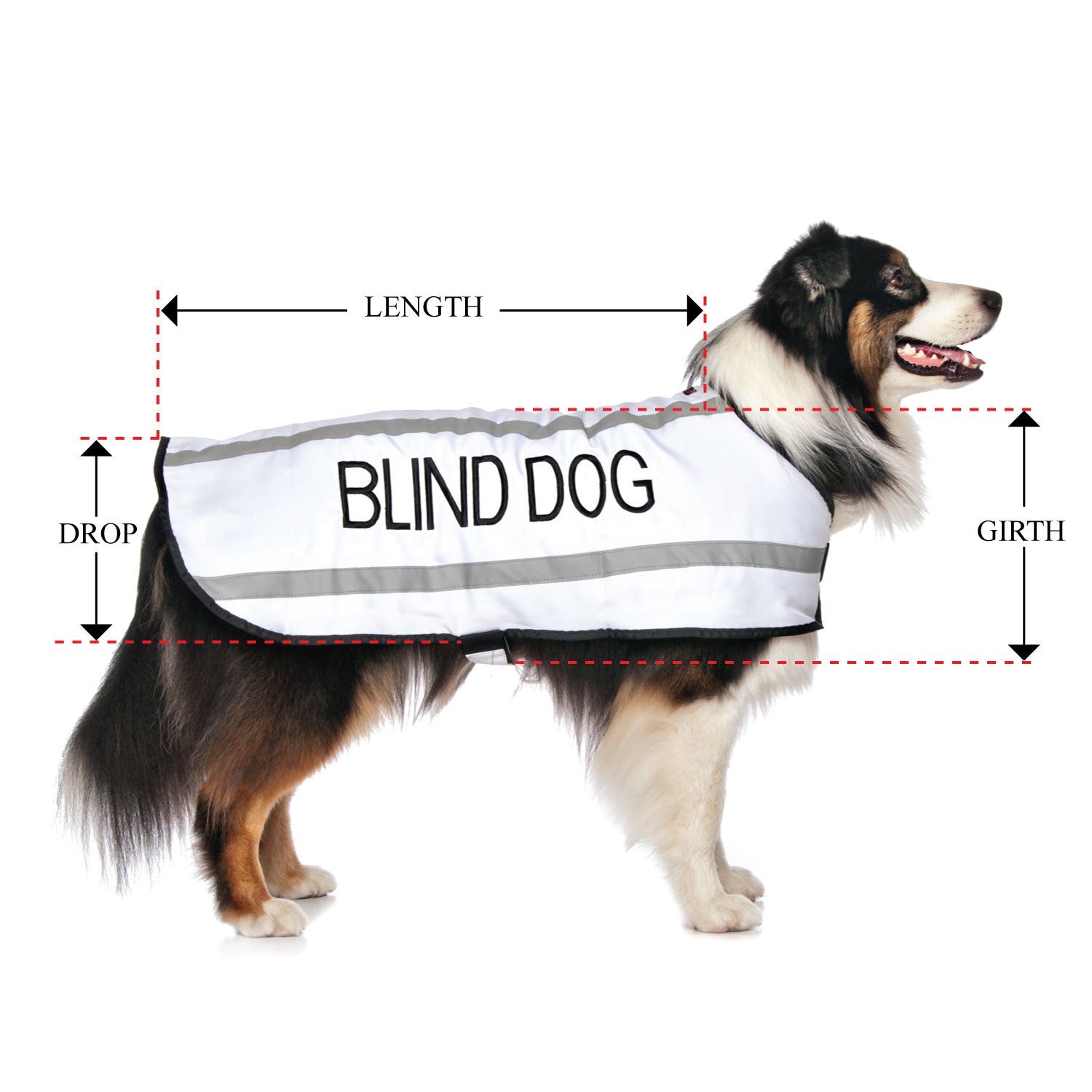 BLIND DOG - Large Coat