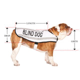BLIND DOG - Medium Coat