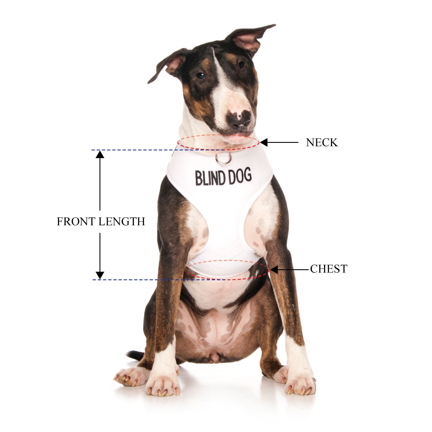 BLIND DOG - Large adjustable Vest Harness