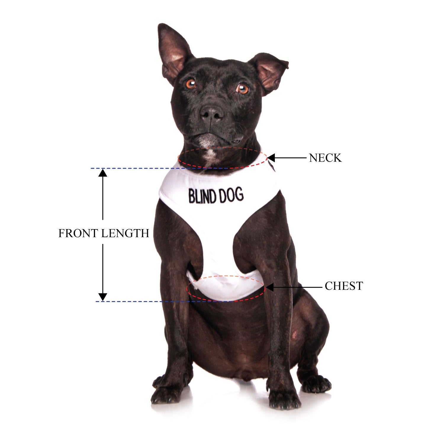 BLIND DOG - Medium adjustable Vest Harness