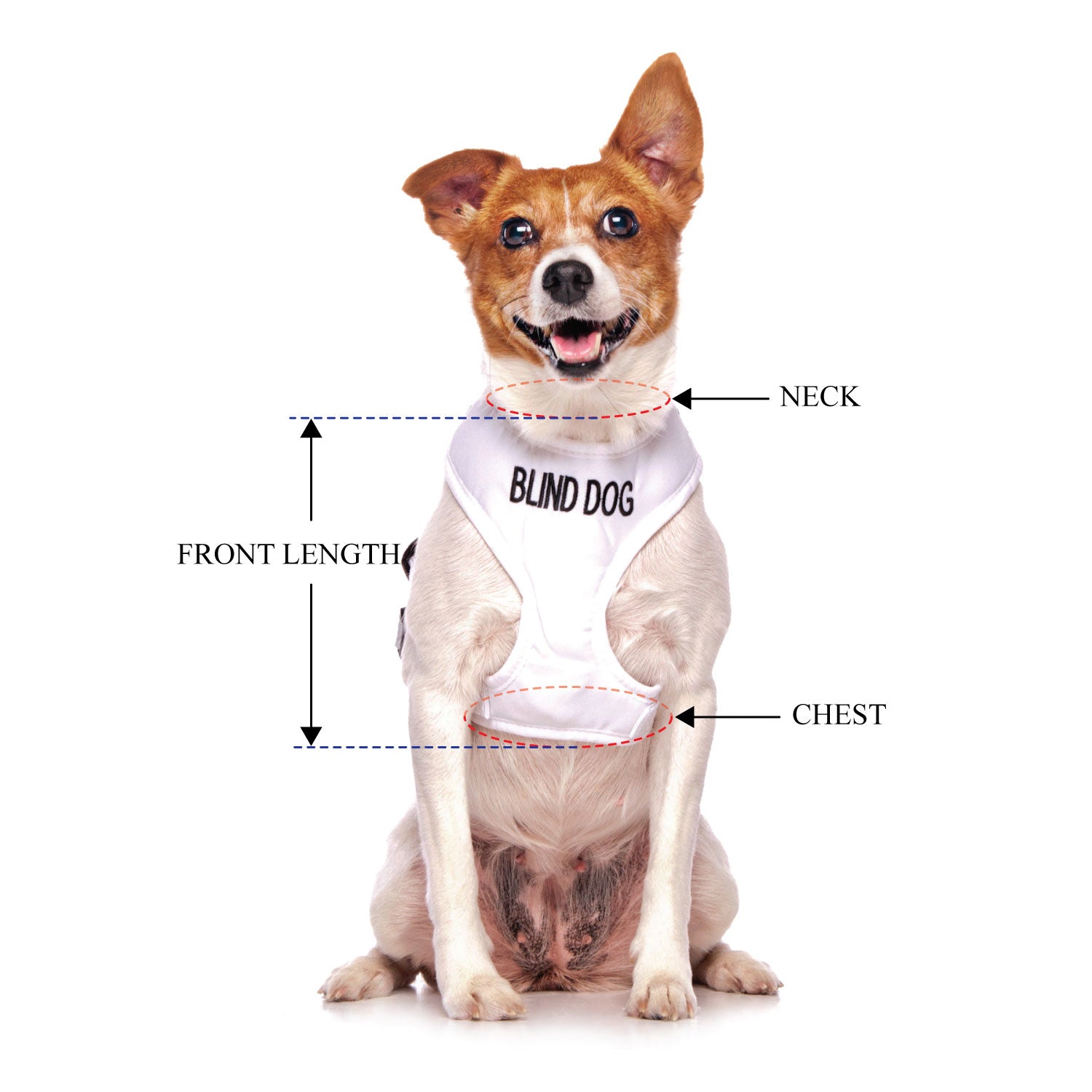 BLIND DOG - Small adjustable Vest Harness