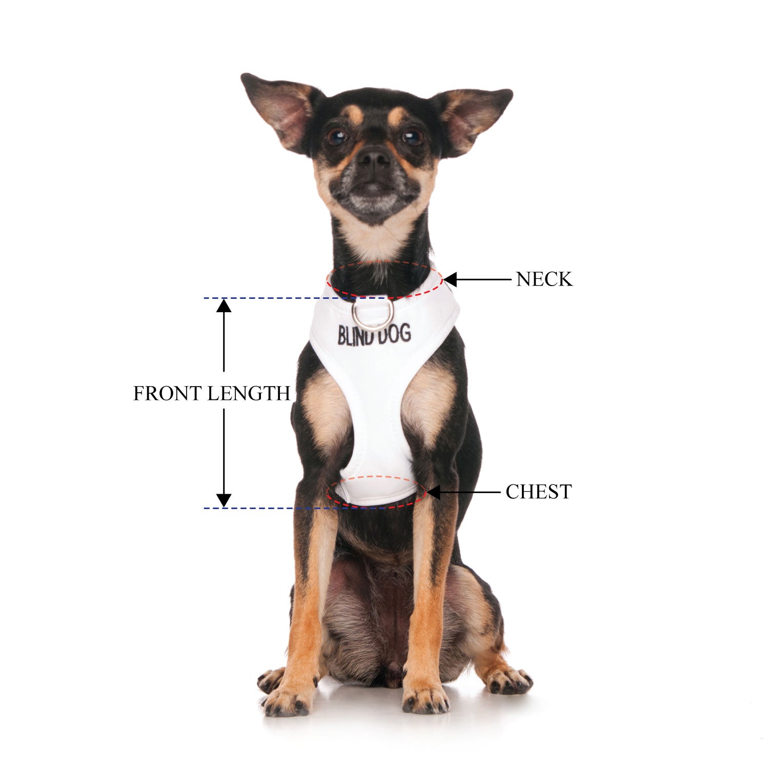 BLIND DOG - XS adjustable Vest Harness