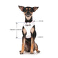 BLIND DOG - XS adjustable Vest Harness