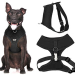 Friendly Dog Collars by Dexil Black Dog  Harness