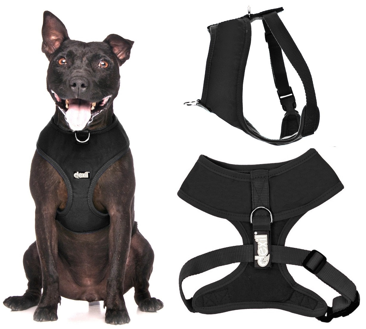 Friendly Dog Collars by Dexil Black Dog  Harness